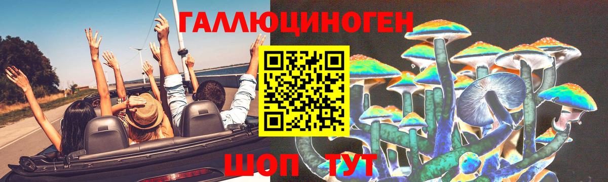Галлюциногенные грибы Psilocybine cubensis  Вход с VPN  Торжок 