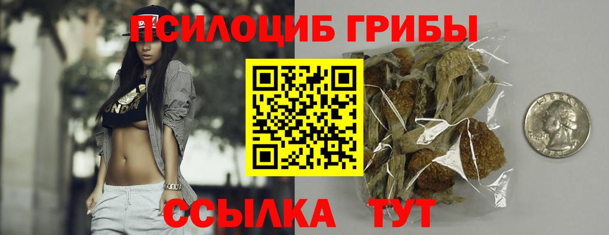 Галлюциногенные грибы Psilocybine cubensis Торжок